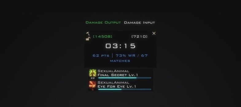 DAMAGE INPUT.jpg